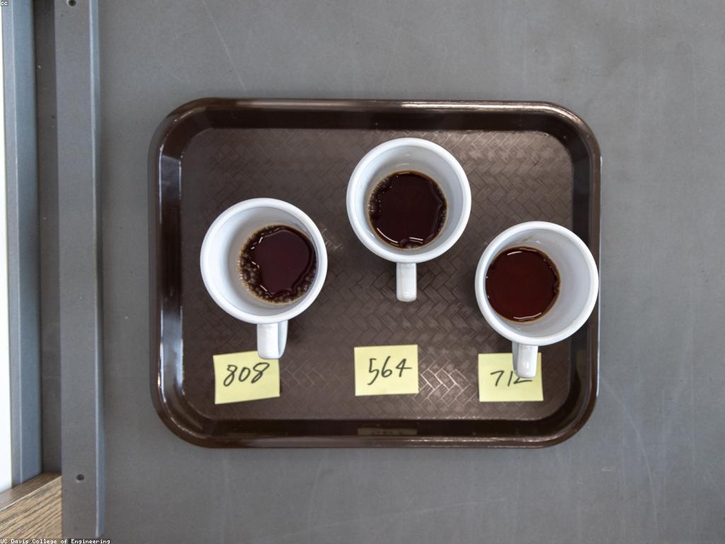 មេរៀនបង្រៀន៖ ការបង្កើតកម្រិតនៃការសិក្សា