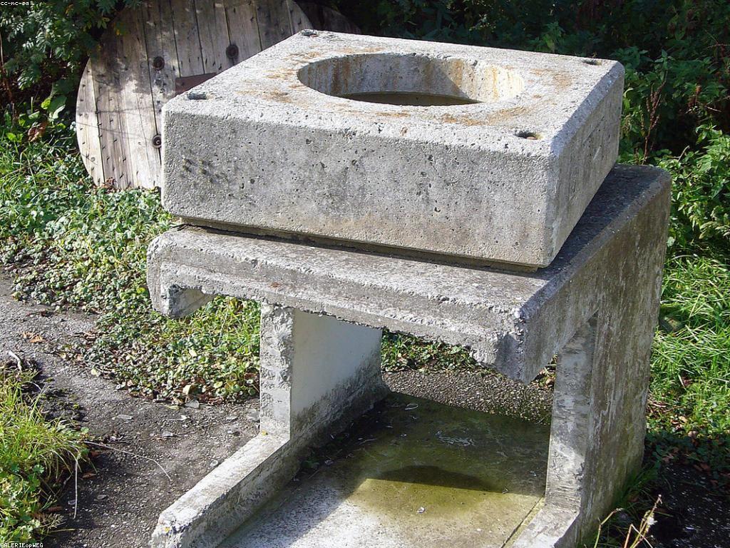 សំណួរ និង ចម្លើយ: ការបង្កើតការសន្និដ្ឋានទាំងអស់